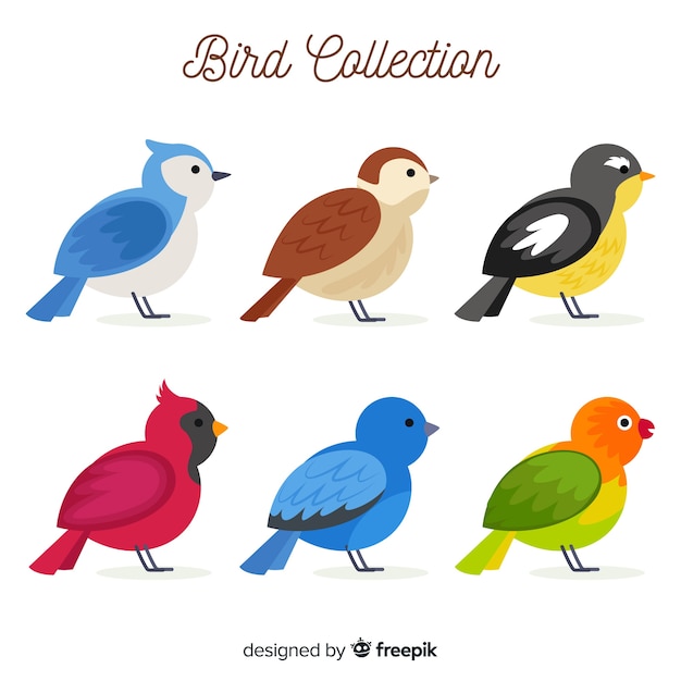 Free Vector bird collectio