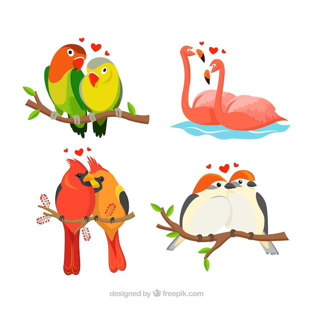 Free Vector bird couple collection for valentine