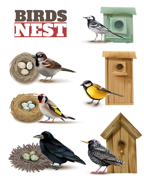 Free vector birds nest set with editable text and realistic images of birds with wild nests and birdhouses