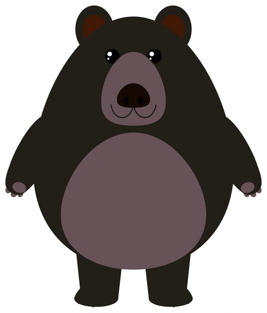 Black bear on white background