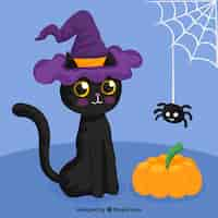 Free vector black cat with spider and pumpkin