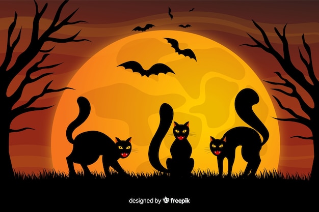 Black cats and full moon halloween background