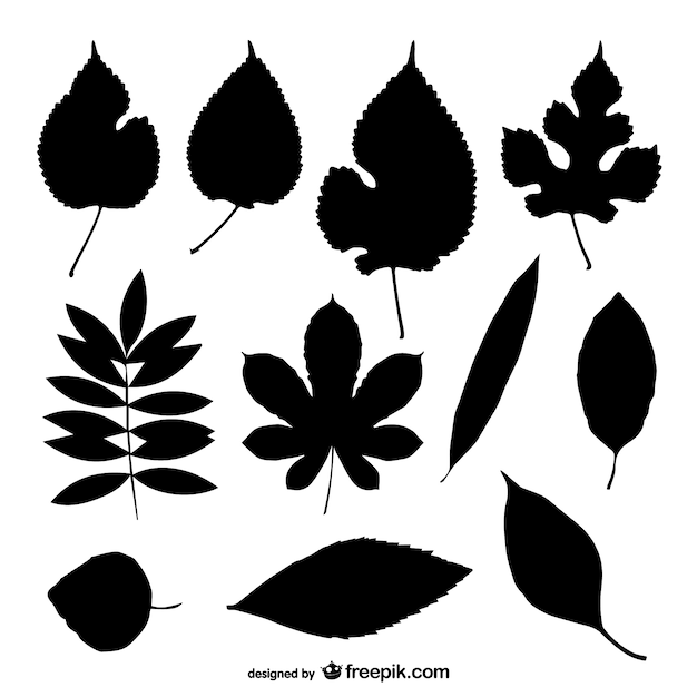 Black leaves silhouettes collection