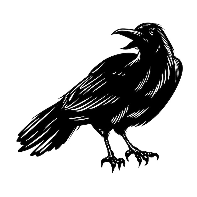 Free vector black raven isolated on white