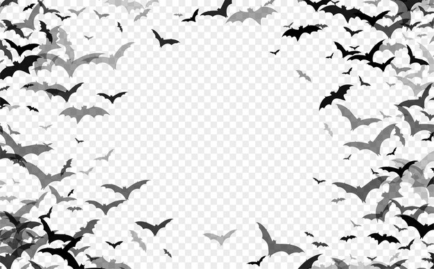 Black silhouette of bats isolated on transparent background