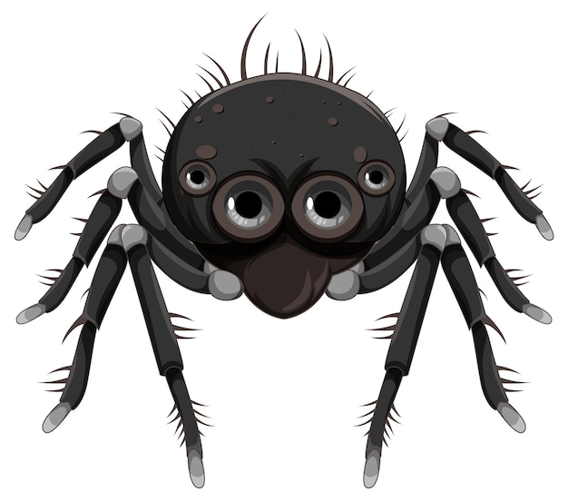 Free Vector black spider cartoon isolated