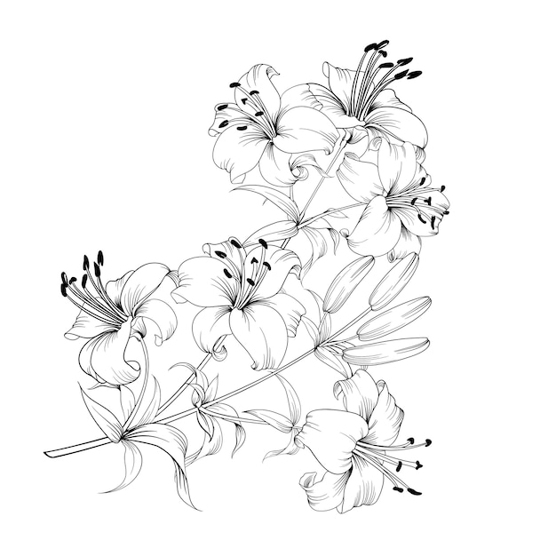 Free vector black and white bouquet lilys composition.