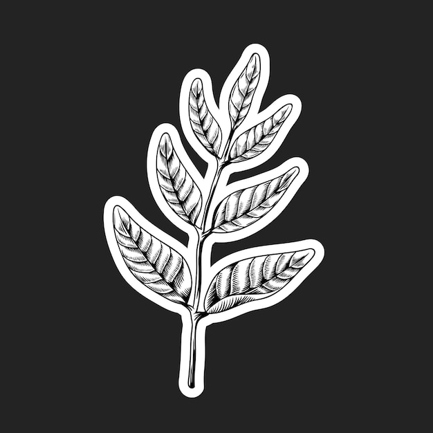 Black and white leaf sticker with a white border 