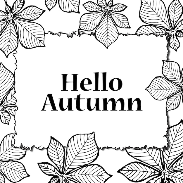 Black And White Line Art Autumn Backgrounds