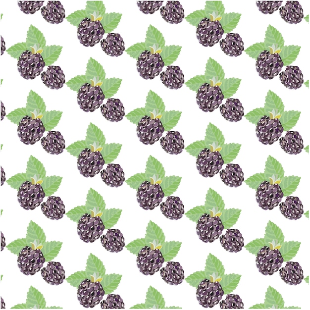 Free Vector blackberry pattern background