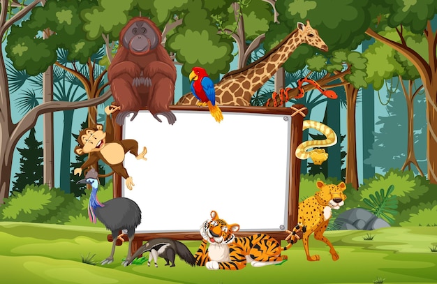 Blank banner in the rainforest scene with wild animals