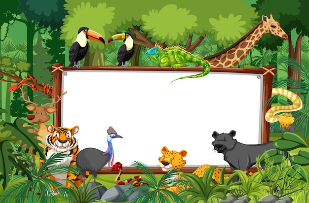 Free vector blank banner in the rainforest scene with wild animals