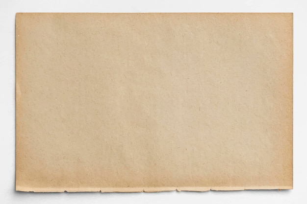 Free Vector blank brown paper design