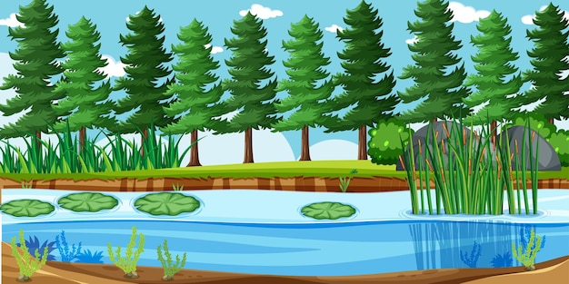 Free vector blank landscape in nature park scene with many pines and swamp