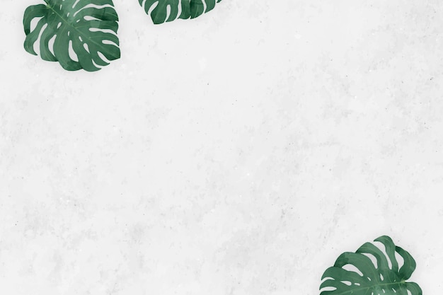 Free Vector blank monstera leaves frame 