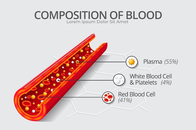 Blood infographic concept in flat design