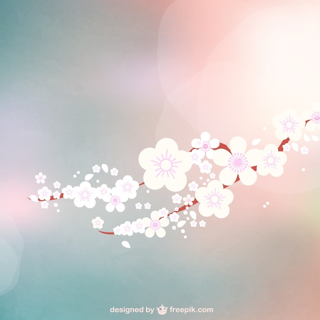 Free Vector blooming flowers bokeh background