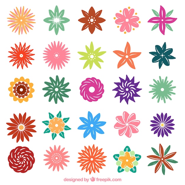 Free vector blooming flowers in minimalist style