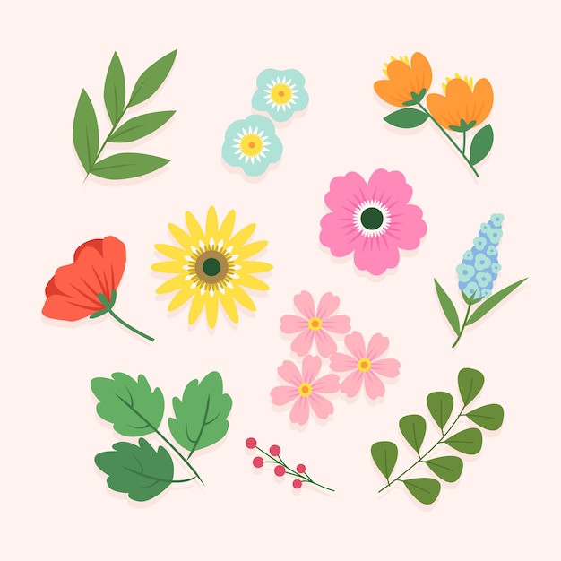 Blossom spring flower collection concept