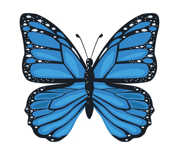 blue beauty butterfly insect icon