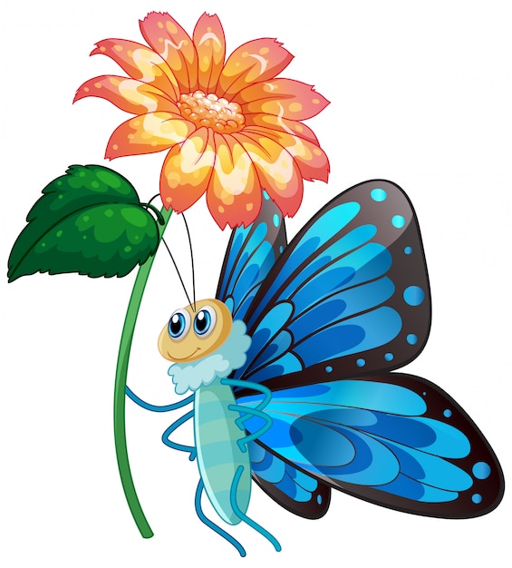 Blue butterfly holding flower on white background