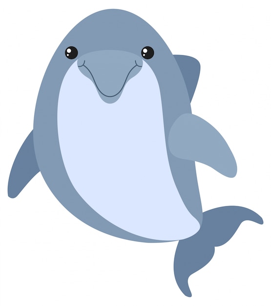 Blue dolphin with happy face