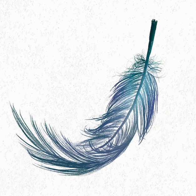 Free Vector blue feather element vector in white background