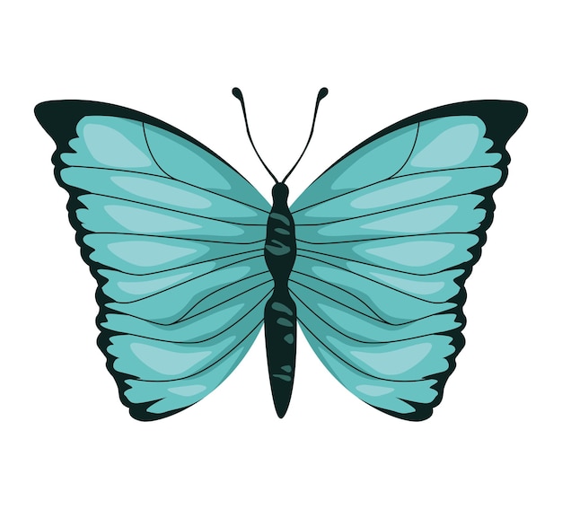 blue light butterfly insect icon