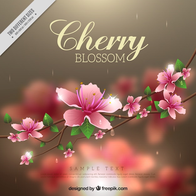 Free Vector blurred background of cherry blossoms in realistic style