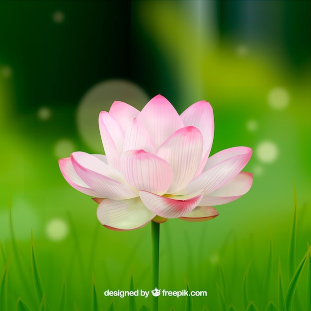 Blurred background with pretty flower in realistic design