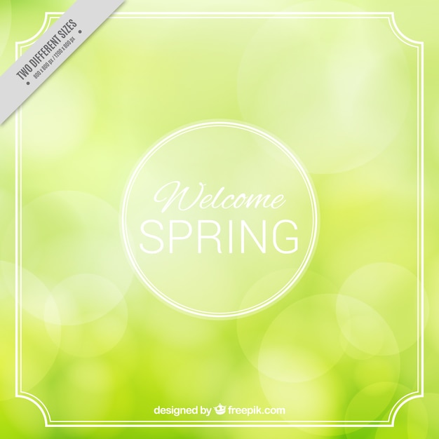 Free Vector blurred background with white frame for spring