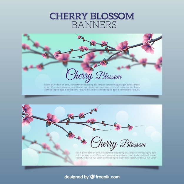 Free Vector blurred banners of cherry blossoms