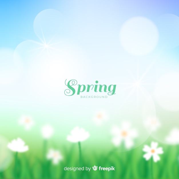 Blurred field spring background