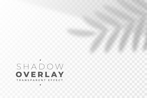 Free Vector blurred leaves shadow overlay effect background