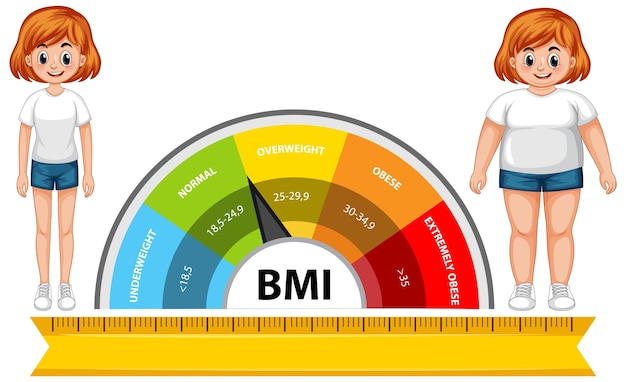 Free Vector bmi scale with two figures