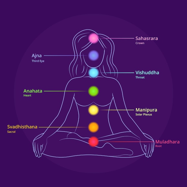 Free Vector body chakras concept