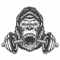 Free vector bodybuilding concept with gorilla