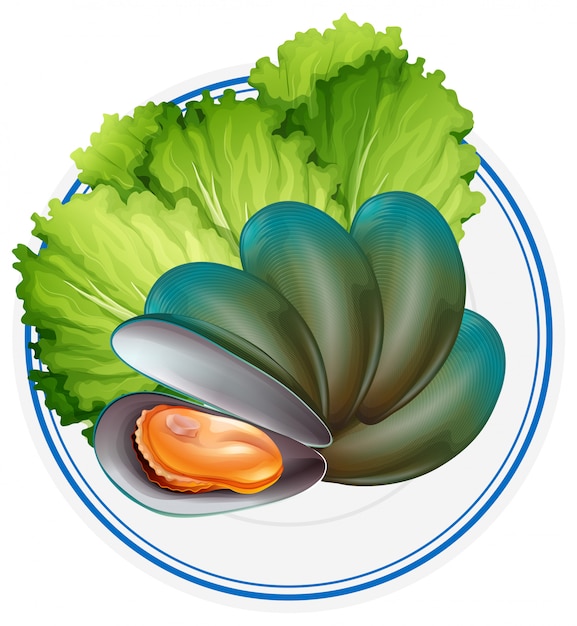 Free Vector boiled mussel and vegetable on plate