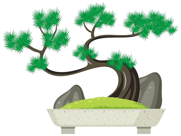 Free Vector bonsai tree in pot on white background