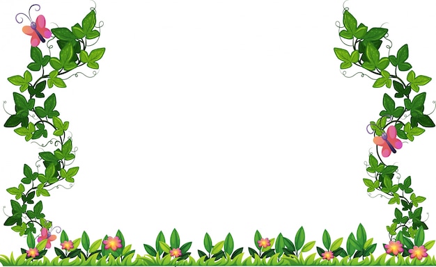 Border design with vine and butterflies