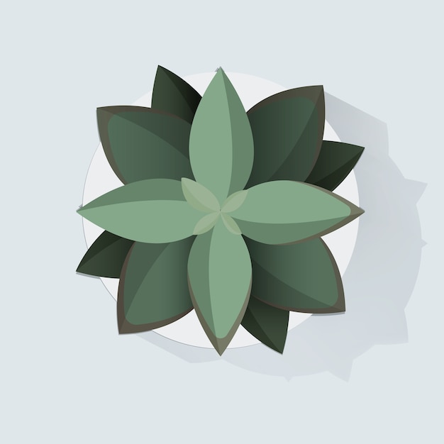 Free Vector botanic houseplant decoration vector illustration