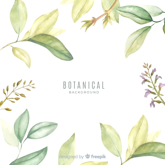 Botanical background