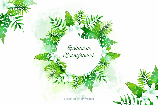 Botanical background