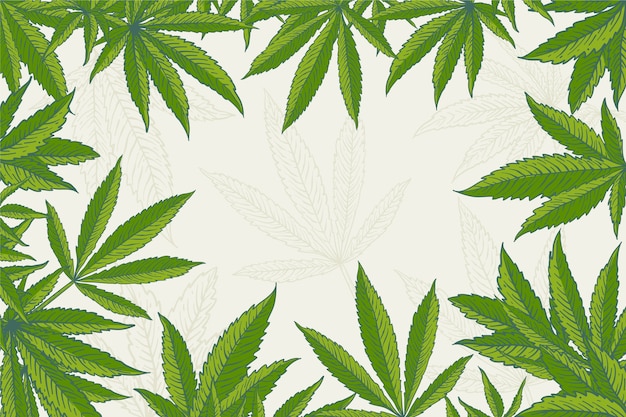 Botanical cannabis leaf background