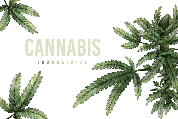 Botanical cannabis leaf background