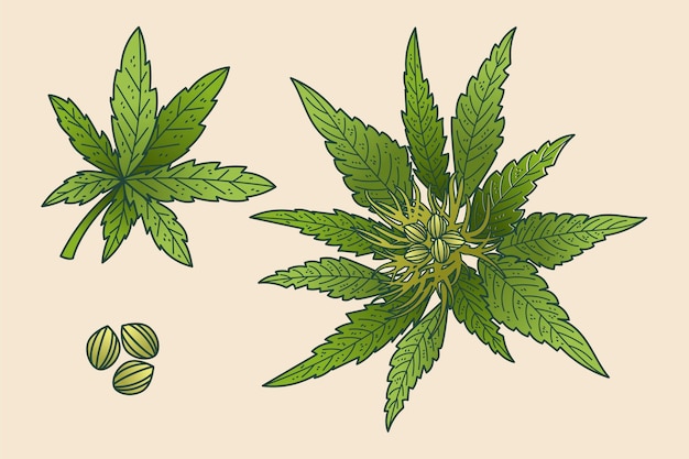 Free vector botanical cannabis leaves background