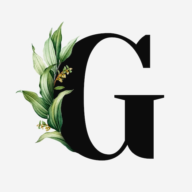 Botanical capital letter G vector