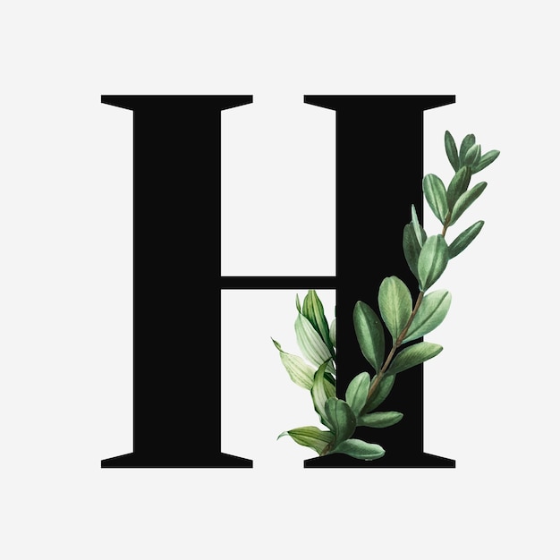 Free Vector botanical capital letter h vector