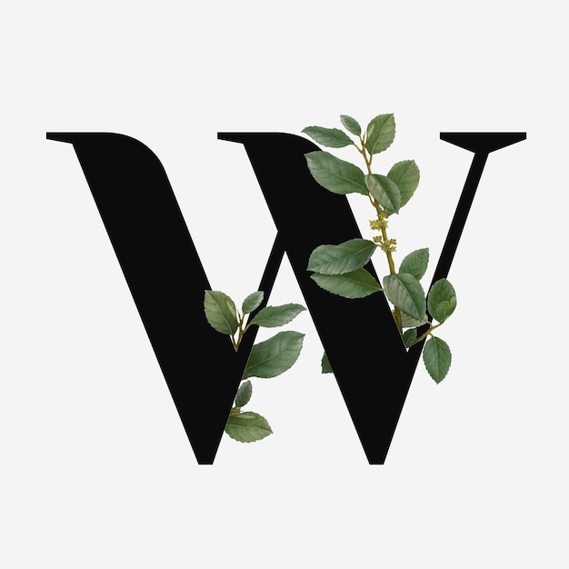 Botanical capital letter W vector