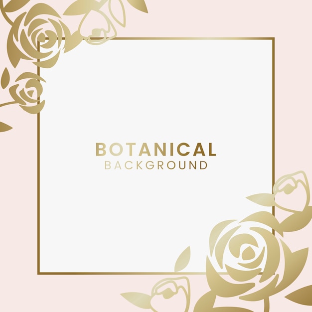 Botanical floral illustration